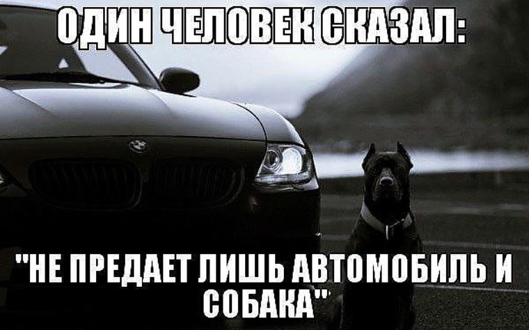 Картинки со смыслом авто