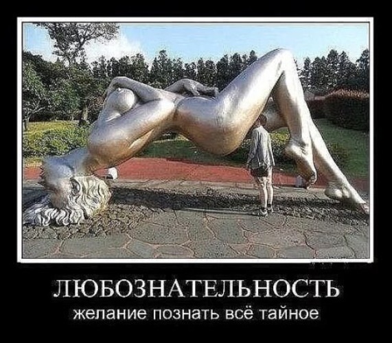 Фото Юмор Куни Фото Юмор Куни