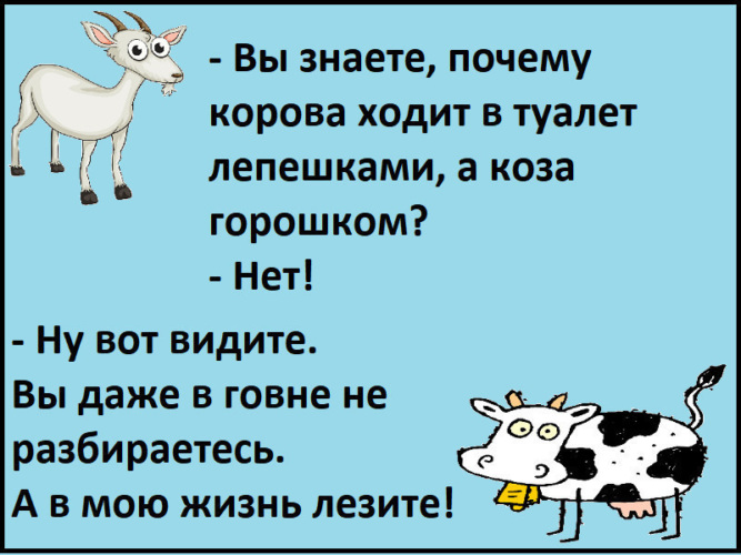 Алексис Монро клёво принимает в очко хуятину