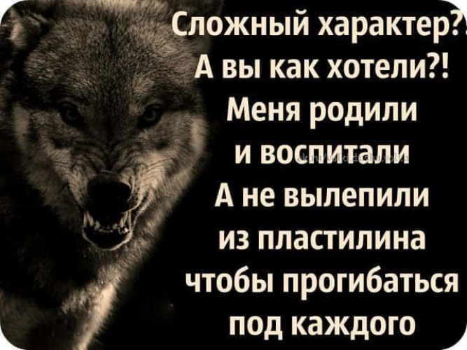 Лучше быть последним среди волков чем первым среди шакалов картинка