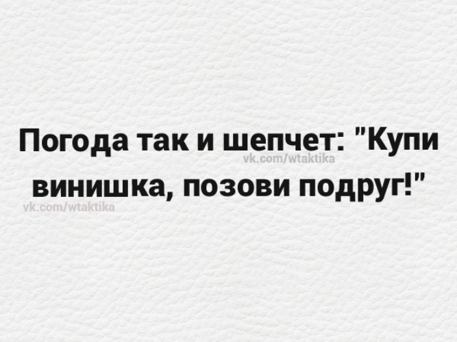 Погода шепчет займи но выпей картинки прикольные