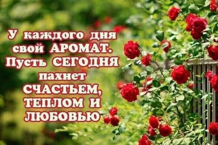 У каждого дня свой аромат пусть сегодня пахнет счастьем теплом и любовью картинки с надписями