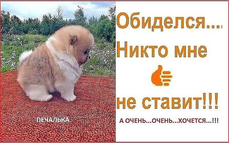 Не обижайся картинка девушке