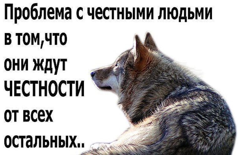 Будь Честным Фото
