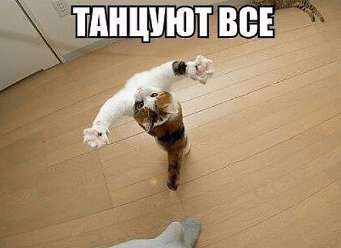 Картинки потанцуем прикольные