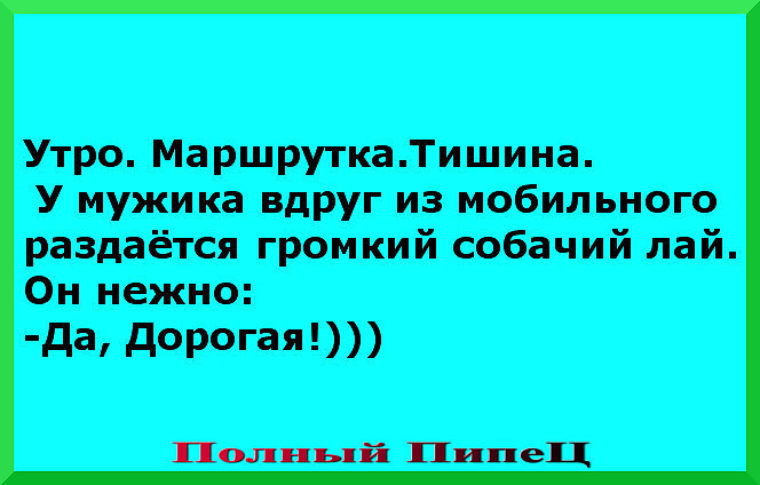 Вдруг мужики. Утро маршрутка тишина. Вдруг раздался громкий лай. Лоси вдруг раздался громкий лай. Вдруг раздался громкий лай как записать.