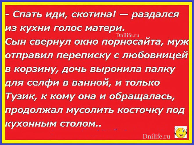 Детском саде раздаются голоса. Двуличная скотина. Иди спать скотина анекдот. Анекдот муж скотина. Муж скотина картинки.