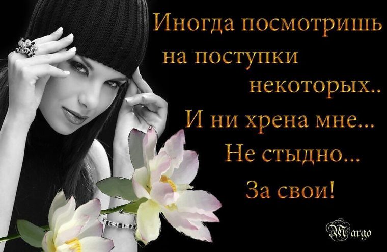 И ни капельки не стыдно И ни капельки не стыдно