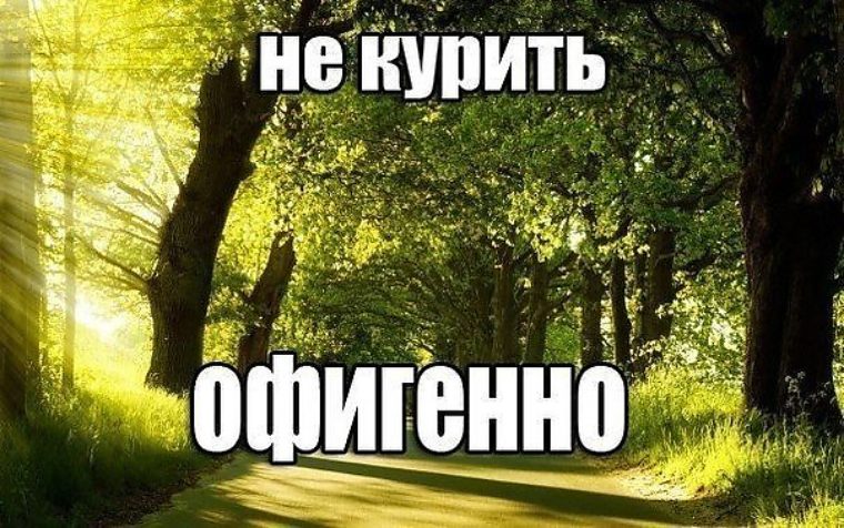 Картинки все офигенно