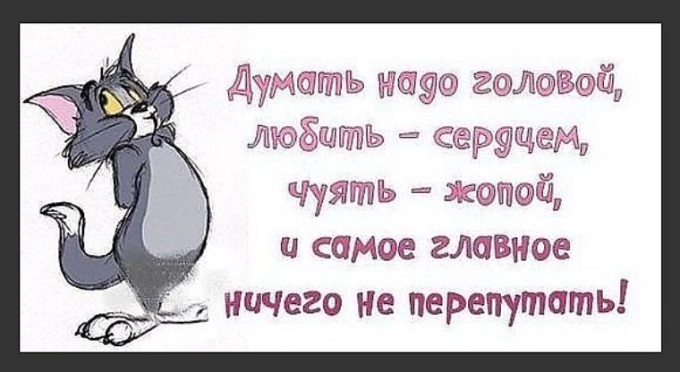 Нет Не Путаю Нет Не Путаю