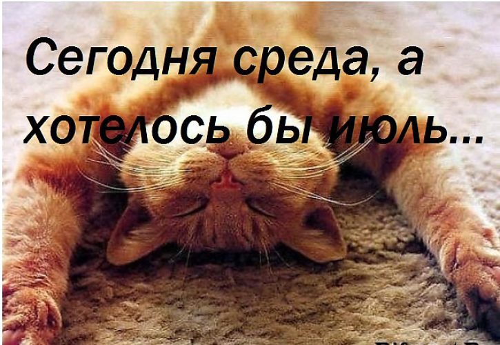 Картинки на тему среда пришла неделя прошла, поздравление днем