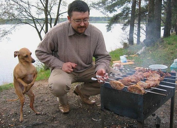 Прикольная картинка шашлык
