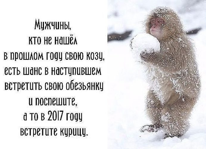 Наступаю встречайте. Статус 2016 года.