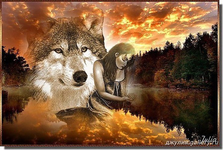 Волк поговори. Волчица и девушка. Девушка с волком. Одинокая волчица. Душа волка.