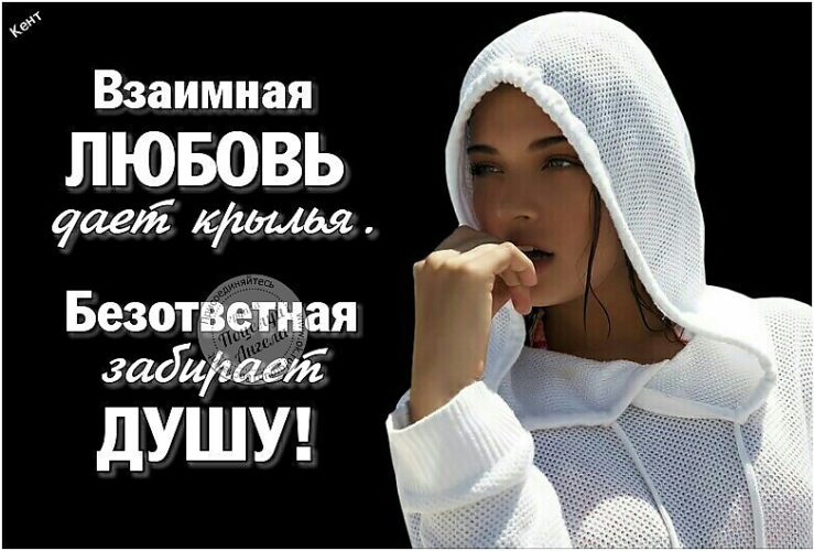 считаю взаимности всем картинка сейчас