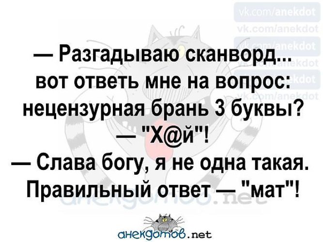 Как можно обзывать матом. Ответки на маты. Что ответить на маты. Матершинные ответы на вопросы. Ответы на матерные слова.