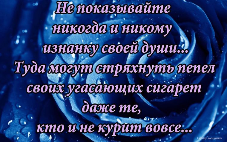 Покажи никогда. Никому не открывай свою душу. Не раскрывайте душу никому. Никогда не открывайте душу. Никогда никому не открывай свою душу.