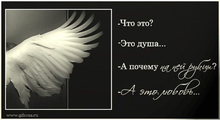 Душа ни на месте. Цитаты про Крылья. Фразы про Крылья. Крылья ангела цитаты. Крылья любви цитаты.