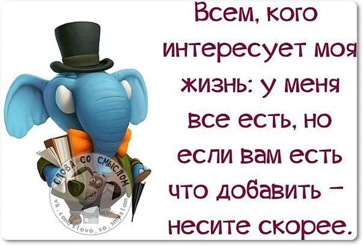 Интересует. Смешные высказывания обо всём. Смешные афоризмы обо всем. Прикольные высказывания обо всем. Приколы со смыслом.