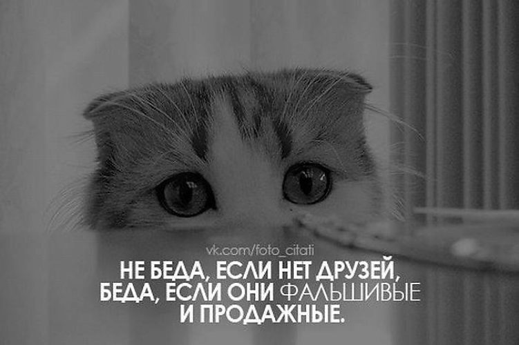 Анимация, красивые прикольные картинки с надписями о жизни и любви