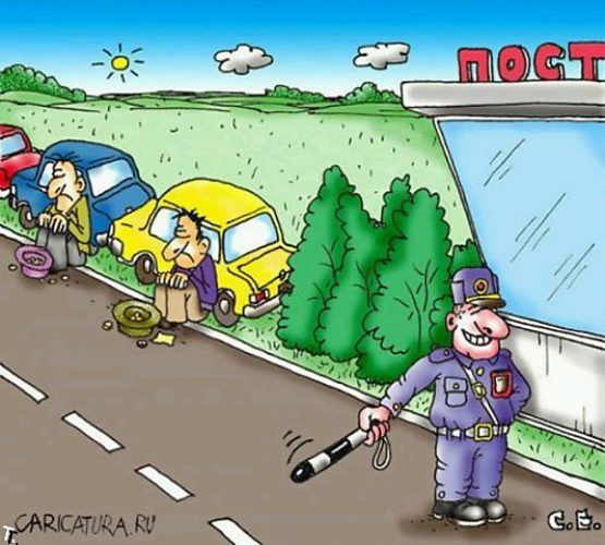 дерева доброе утро гаишнику картинки потолки везде, полу