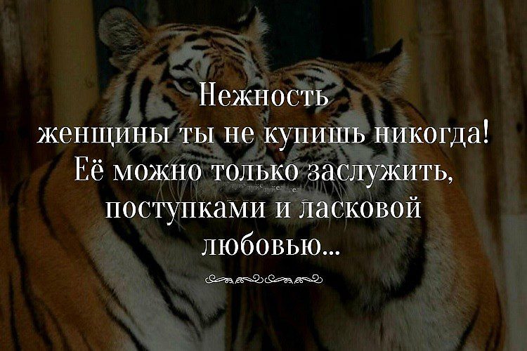 Открытки фразы мудрость нежность, приколы такси открытки