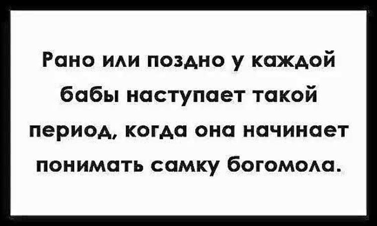 Рано или поздно предложения. Рано или поздно наступает Возраст. Рано или поздно приходит конец. Выпившей самке богомола даже некому позвонить. Самка богомола некому позвонить.