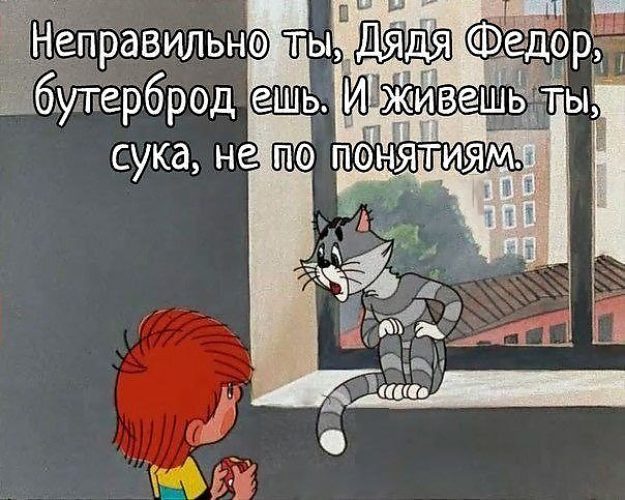 Смешные картинки про матроскина