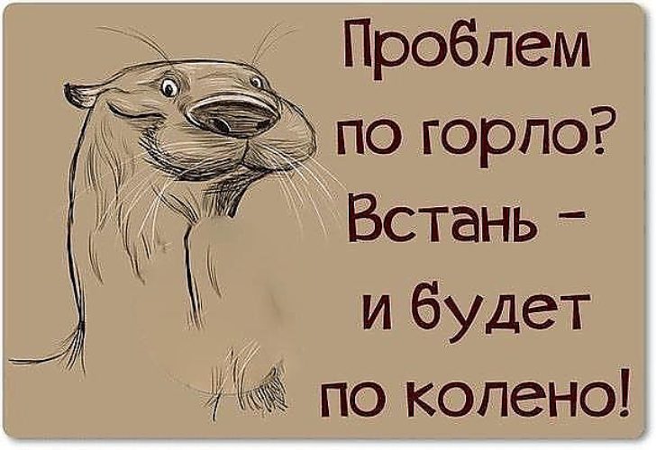Летней, михайловна я тут открытки подписываю