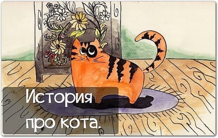 История про кота. Смешной рассказ про кота. Юмористический рассказ про кота. Шуточный рассказ про кота. Веселые истории про котов.