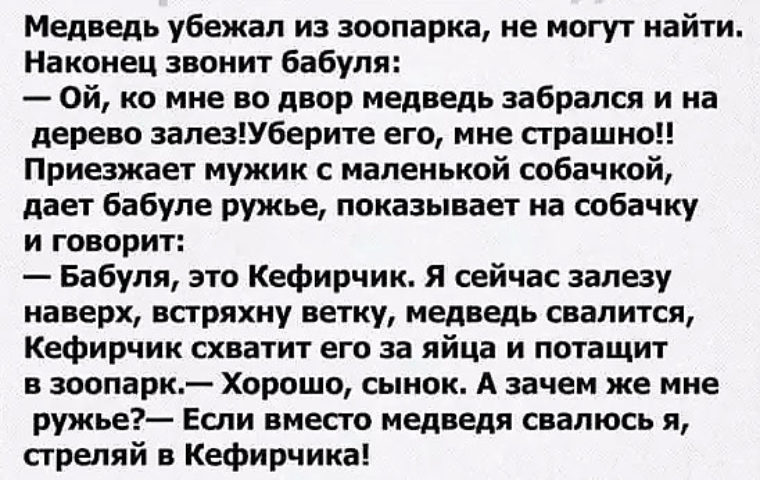 Анекдот про медведя иди сюда. Анекдот про медведя и охотника. Анекдот про кефирчика. Анекдот про кефирчика и медведя. Анекдот про собаку кефирчика.