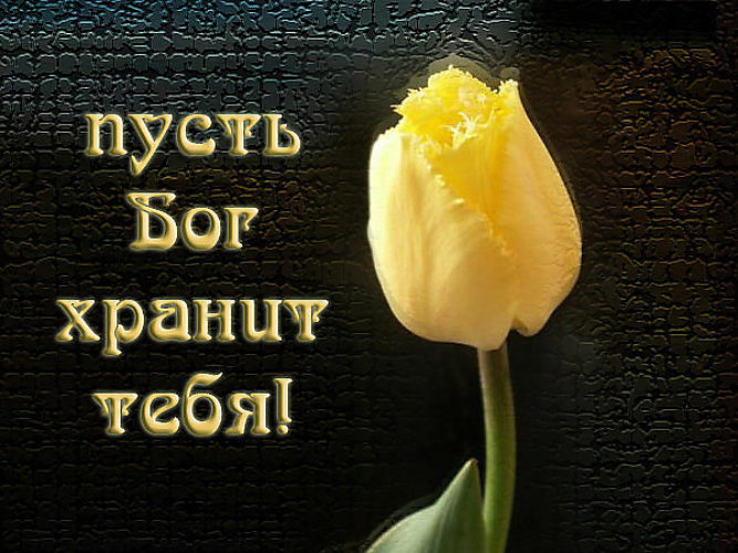 Днем, картинки с надписью дай бог