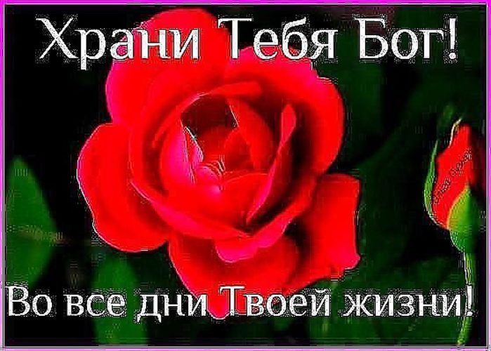 Картинки, картинки бог тебя хранит