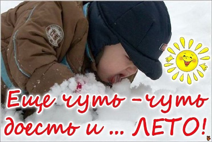из интернета из интернета