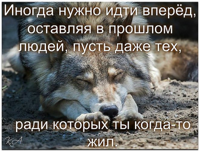 Все в жизни идет как нужно. Оставляйте прошлое в прошлом. Прошлое останется в прошлом цитаты. Идем вперед цитаты. Надо идти дальше цитаты.