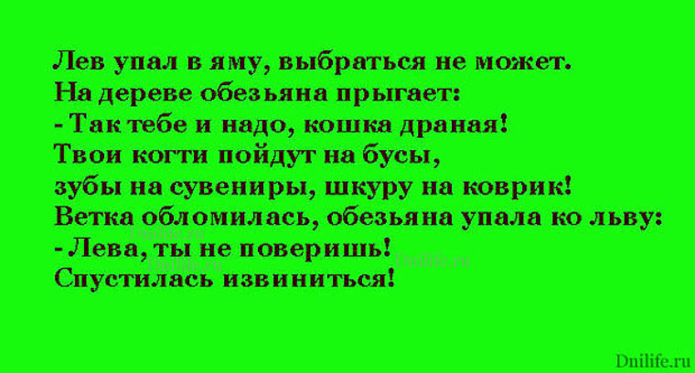 Ленивое одеяло. Я так и не смогла выбраться. Красивая или умная шутки. Я так и не смогла выбраться. Спаси ее первой симпсоны.