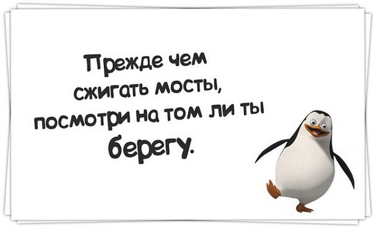 Прежде чем сжигать мосты посмотри на том ли ты берегу картинка