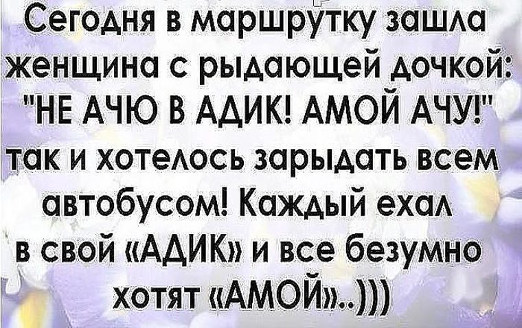 Заходила дама. Каждый ехал в свой Адик. Утром в маршрутку зашла женщина с рыдающей. Не хочу в садик хочу домой. Ачу.