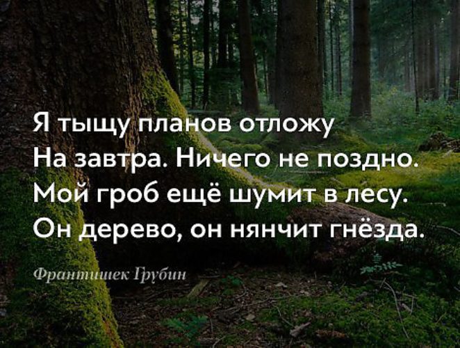 Чем занимаешься смотрю как деревья растут все суетишься картинка с монахом