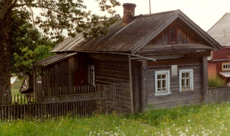 Пятистенный дом в деревне фото