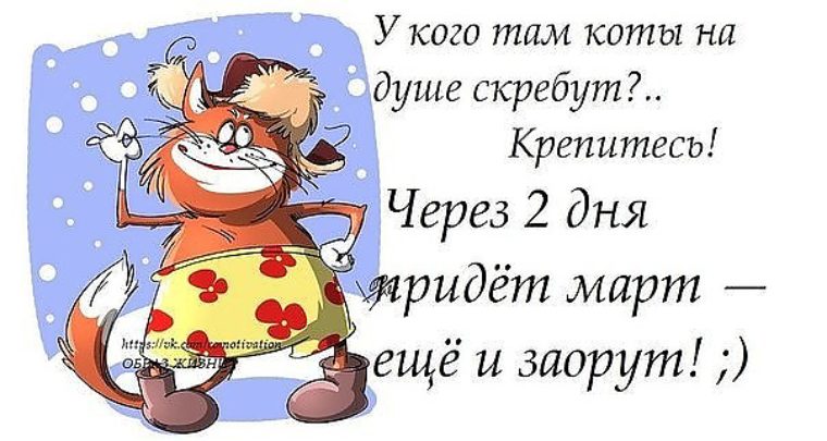 Кошки на душе скребут