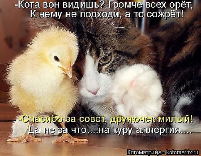Да вон видишь. Да вон видишь