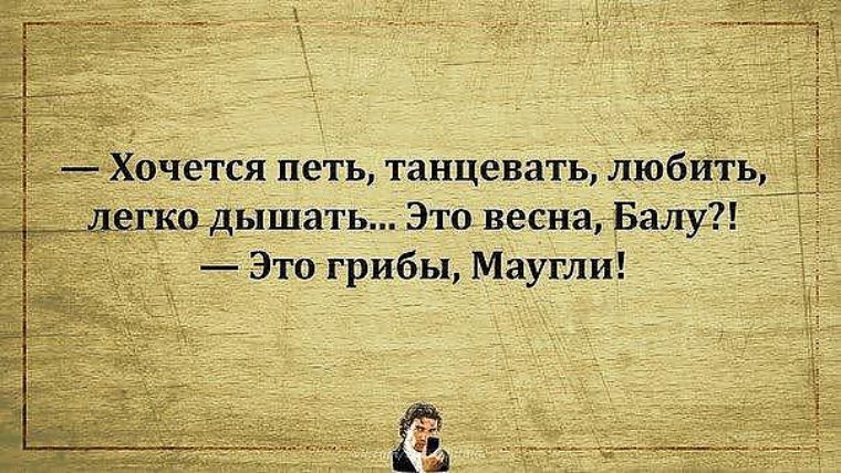 Хочу петь. Настроение пить и танцевать цитаты. Хочется петь. Цитаты когда хочется петь. Настроение петь.