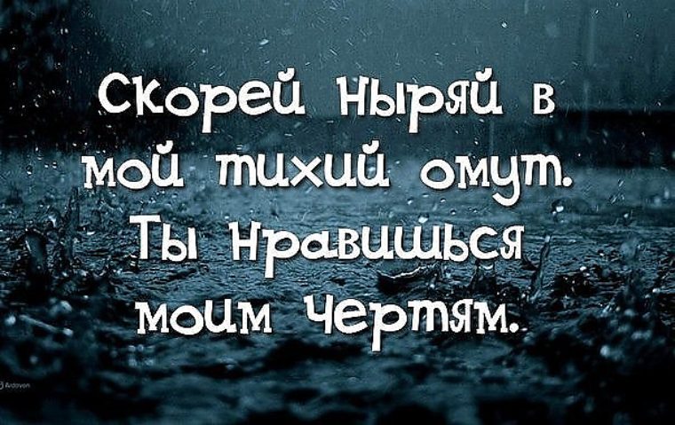 Картинки с надписью тихий омут, февраля поздравления мужчинам