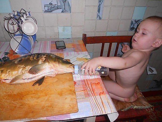 Прикольные картинки жарить рыбу, лет свадьбы
