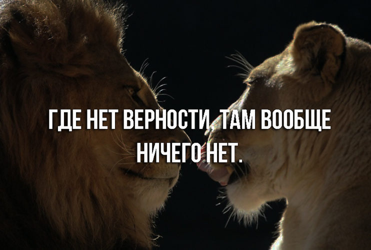 Картинки и цитаты о любви и верности