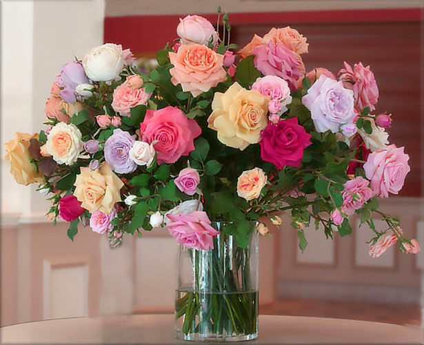 Кустовые розы