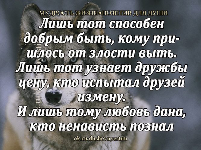 Стих жизнь мудрости