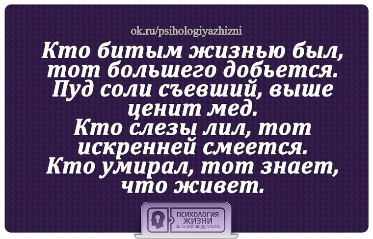 Кто битым был тот большего добьется пуд. Пуд соли съевший выше ценит мед кто слезы лил тот искренней смеется. Омар хайям пуд соли съевший. Кто битым жизнью был тот большего добьется. Кто битым был тот большего добьется пуд соли.