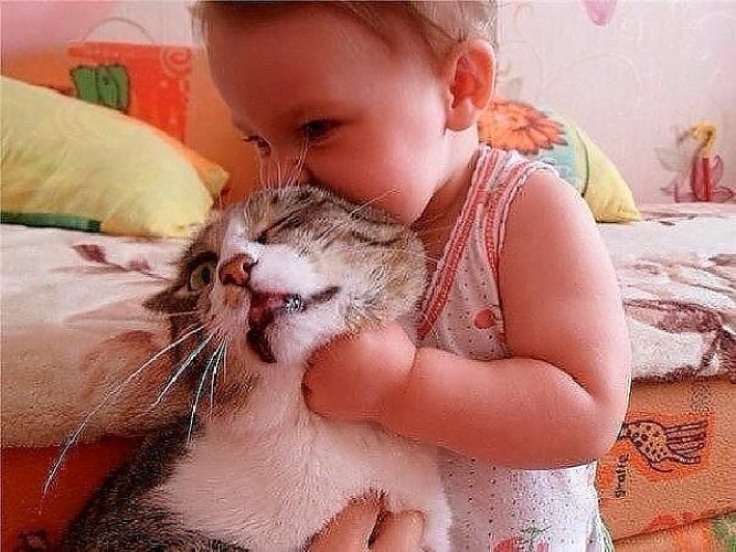Одной, вот так обнять прикольные картинки